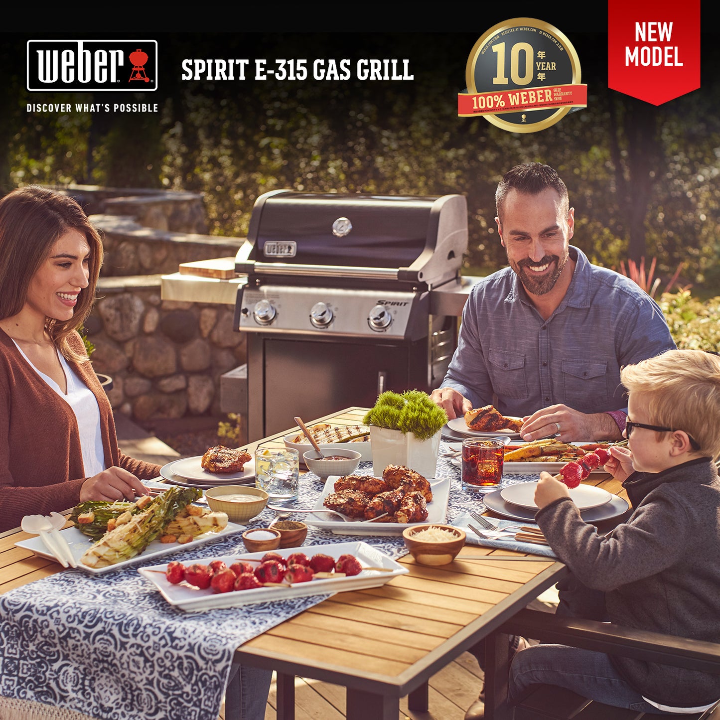 NEW!! Weber - Spirit Series E315