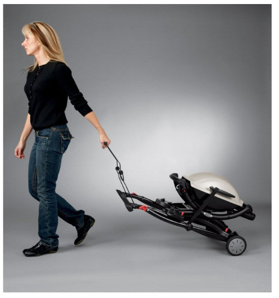 Weber Grill cart