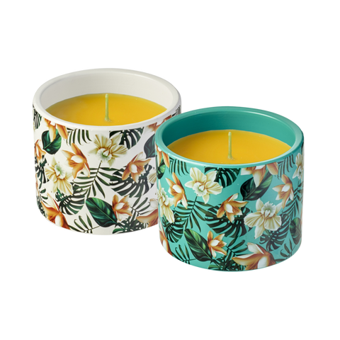 Waxworks Tropical Strength Wind Resistant - Funky Florals